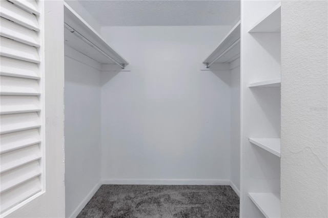 spacious closet with dark colored carpet