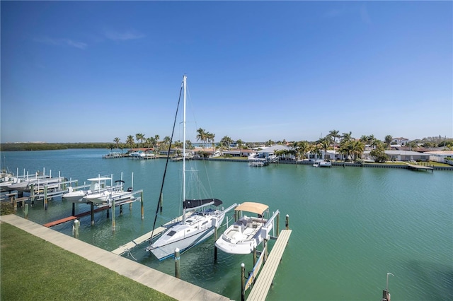 dock area with a water view