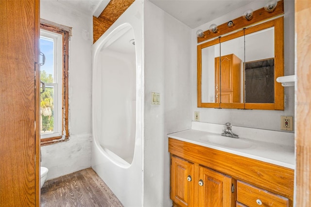 bathroom featuring vanity, wood-type flooring, and toilet