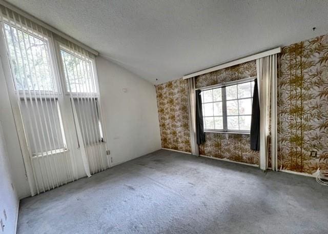 empty room with lofted ceiling, plenty of natural light, a textured ceiling, and carpet