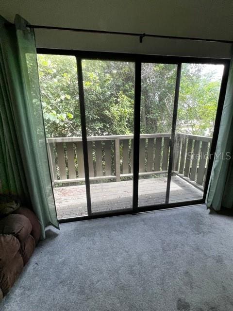 doorway featuring carpet floors and a wealth of natural light