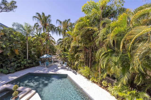 view of pool with a patio