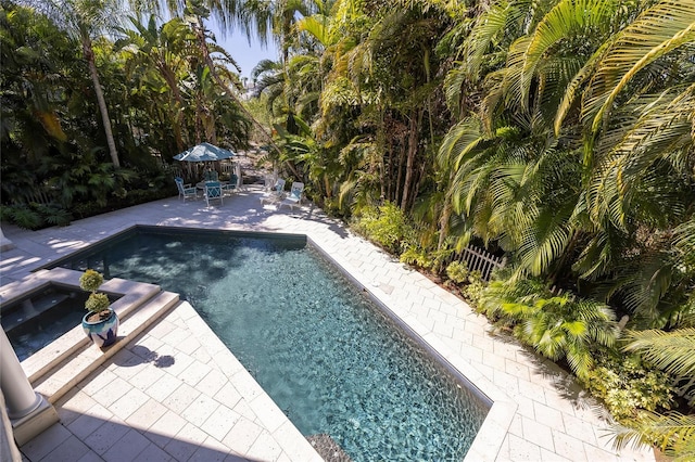 view of swimming pool with a patio area