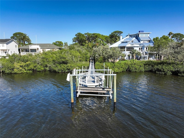 dock area with a water view