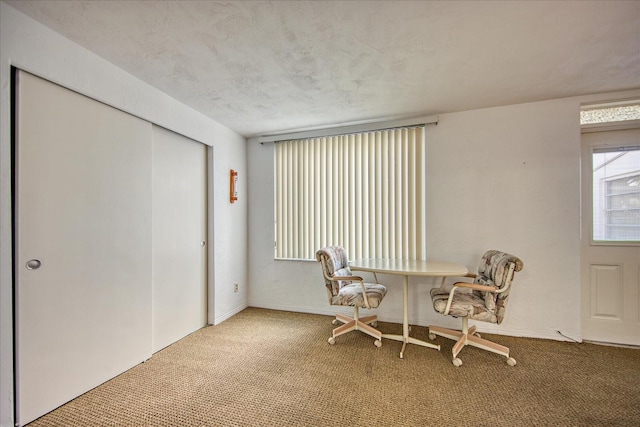 unfurnished room featuring plenty of natural light, carpet floors, and a textured ceiling