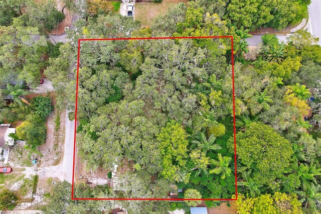 1838 Sylvan Dr, Clearwater, FL 33755 - photo 4