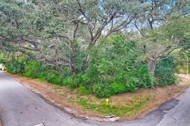 1838 Sylvan Dr, Clearwater, FL 33755 - photo 8