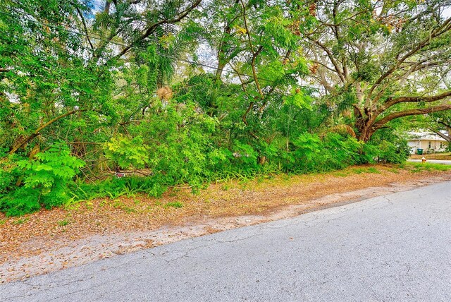 1838 Sylvan Dr, Clearwater, FL 33755 - photo 10
