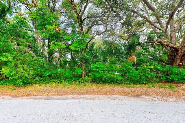 1838 Sylvan Dr, Clearwater, FL 33755 - photo 11