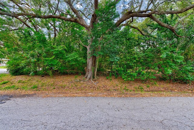 1838 Sylvan Dr, Clearwater, FL 33755 - photo 12