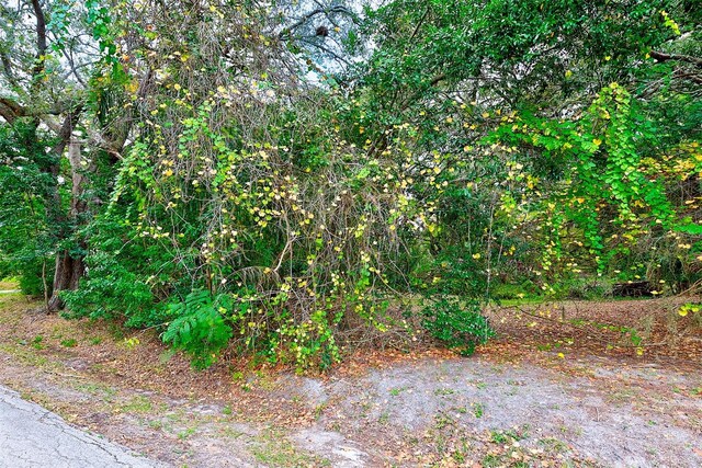 1838 Sylvan Dr, Clearwater, FL 33755 - photo 13