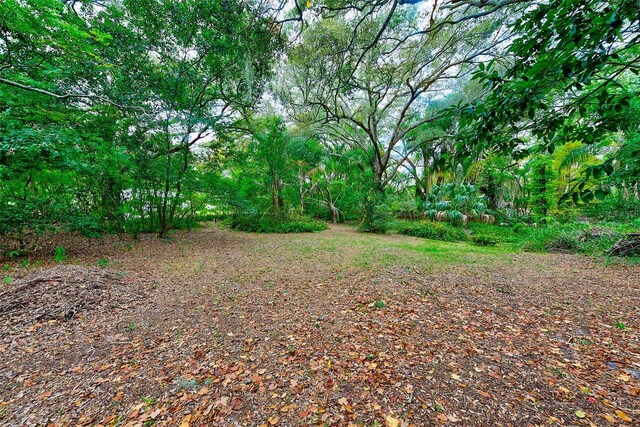 1838 Sylvan Dr, Clearwater, FL 33755 - photo 17