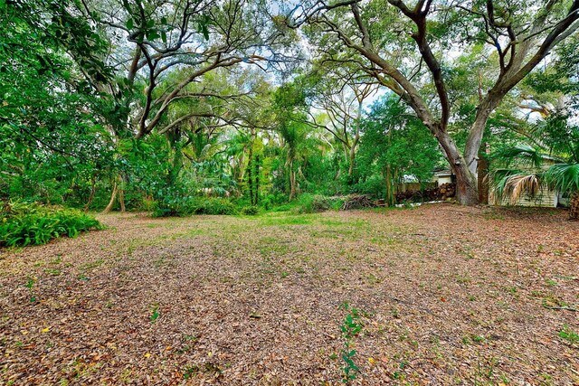 1838 Sylvan Dr, Clearwater, FL 33755 - photo 19