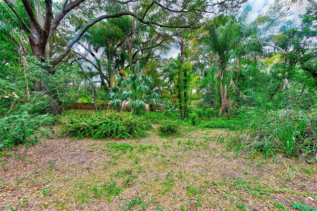 1838 Sylvan Dr, Clearwater, FL 33755 - photo 20