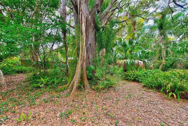 1838 Sylvan Dr, Clearwater, FL 33755 - photo 22