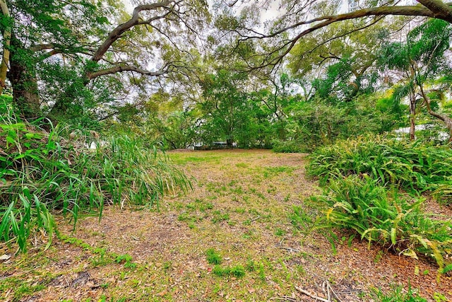 1838 Sylvan Dr, Clearwater, FL 33755 - photo 25