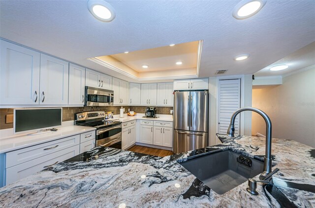 kitchen with a raised ceiling, stainless steel appliances, tasteful backsplash, and a sink