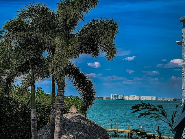 view of water feature featuring a dock