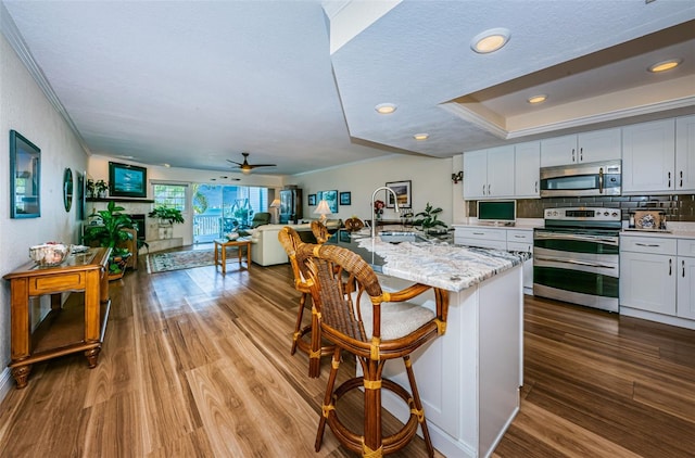 kitchen featuring a fireplace, stainless steel appliances, a raised ceiling, a sink, and wood finished floors