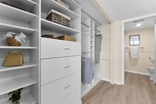 spacious closet with light wood-type flooring