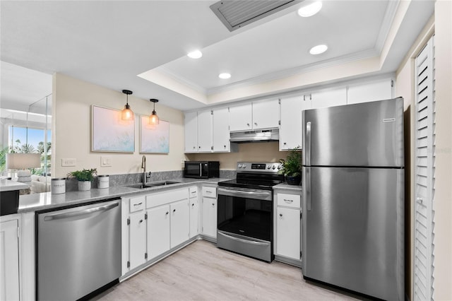 kitchen with stainless steel appliances, white cabinetry, a tray ceiling, and sink