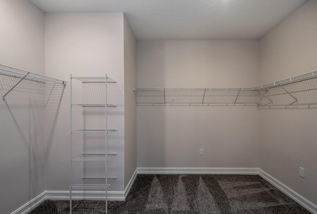 spacious closet with dark carpet