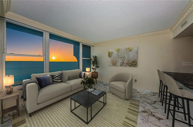 living room with ornamental molding, a textured ceiling, and a water view