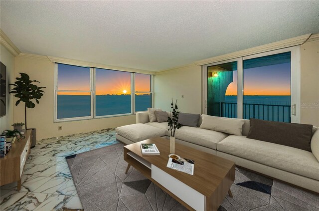 living room with crown molding, a textured ceiling, and a water view