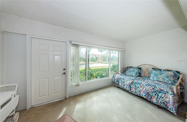 carpeted bedroom with a textured ceiling