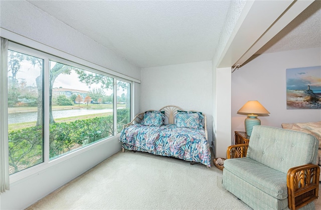 carpeted bedroom featuring a textured ceiling