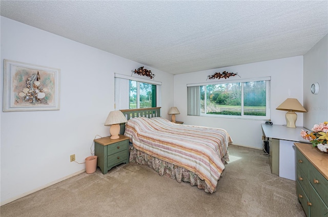 carpeted bedroom with a textured ceiling