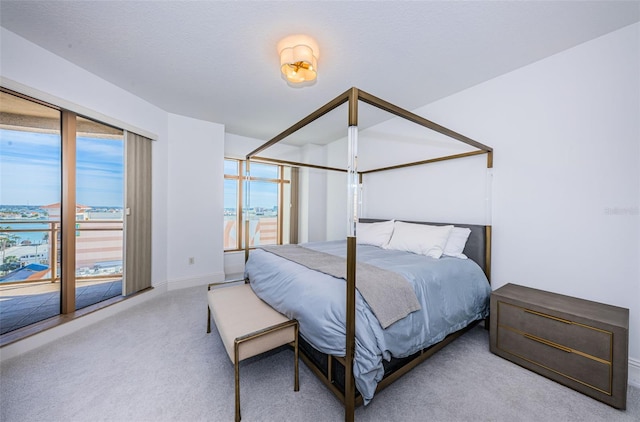 bedroom featuring light carpet and access to exterior