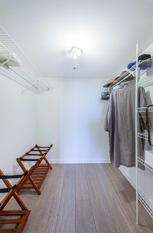 spacious closet with light hardwood / wood-style floors