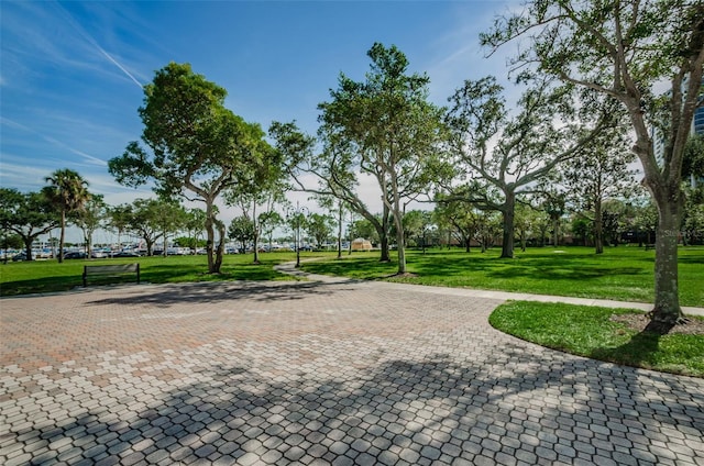 view of property's community featuring a lawn