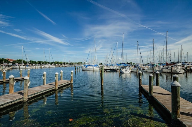 dock area with a water view