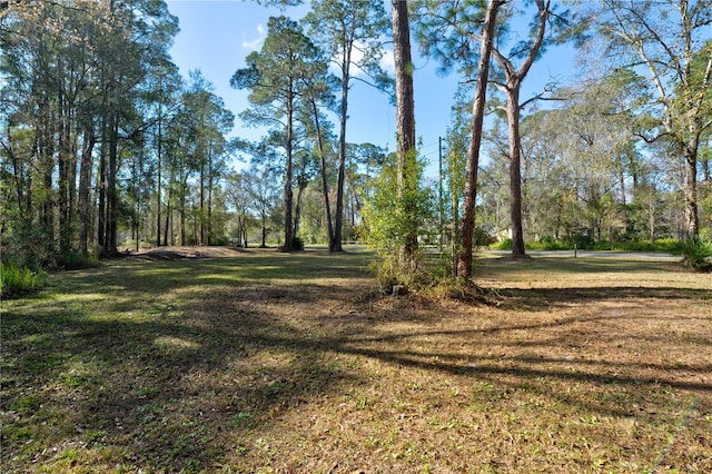 Listing photo 3 for 11504 Lake Dr, New Port Richey FL 34654