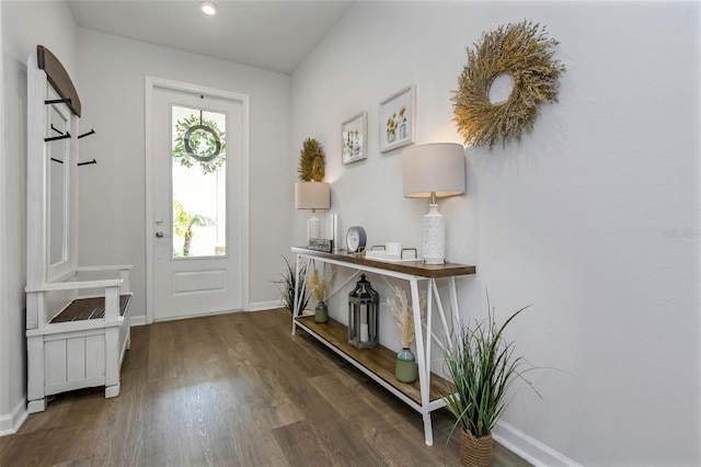 entrance foyer with dark wood-type flooring