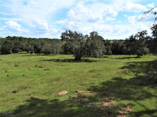 Listing photo 2 for Old Mill Pond, Dade City FL 33523