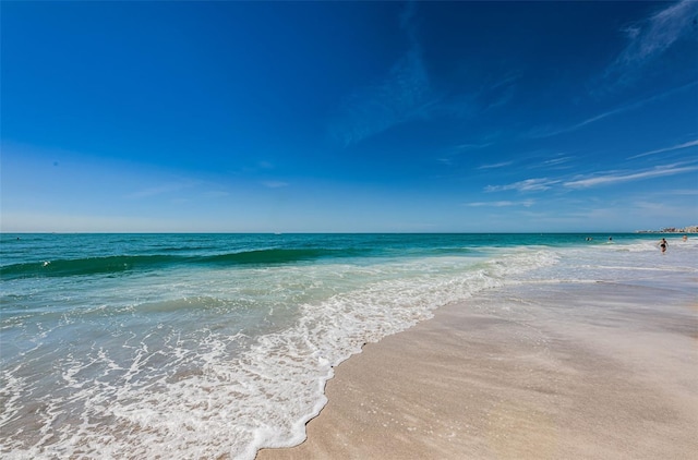 water view with a view of the beach