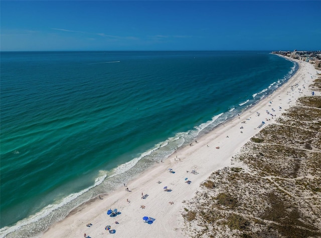 water view featuring a beach view