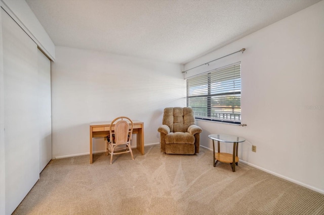 sitting room with light colored carpet and a textured ceiling