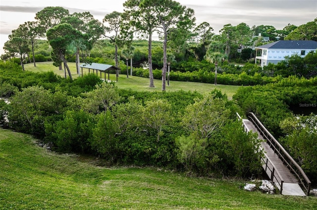 view of yard