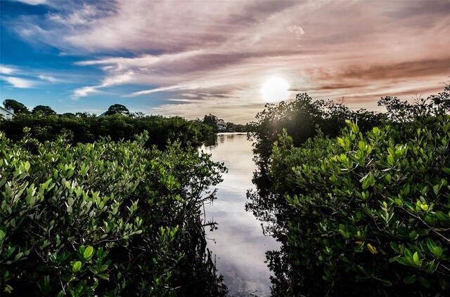 nature at dusk with a water view