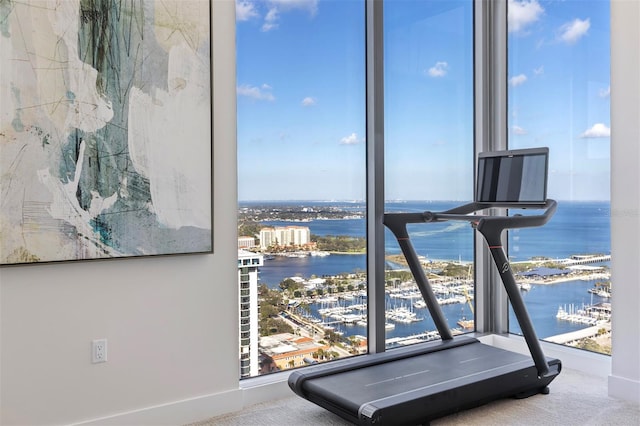 exercise room featuring a water view and light colored carpet