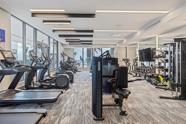 workout area with carpet