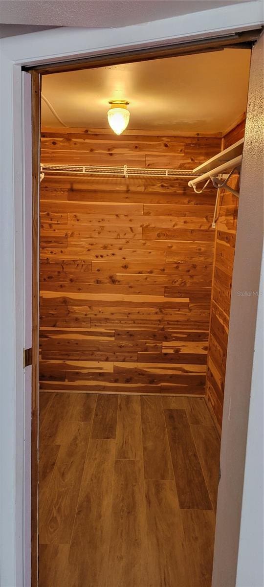 spacious closet with hardwood / wood-style floors