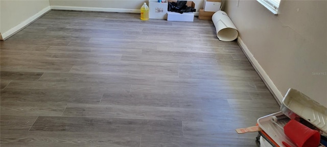 room details with a baseboard radiator and wood-type flooring