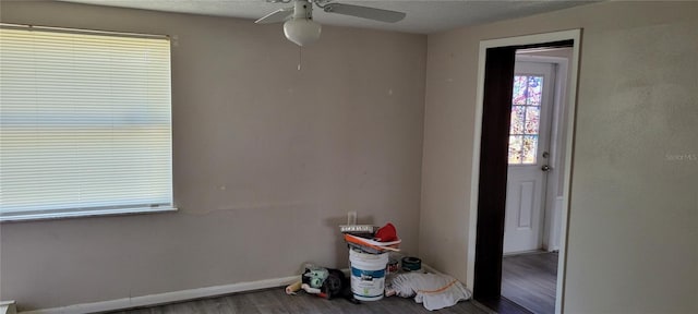 1153 Tamarac Dr, Holiday, FL 34690 - photo 39