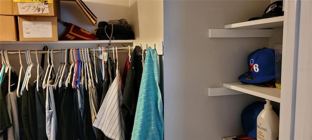 view of spacious closet