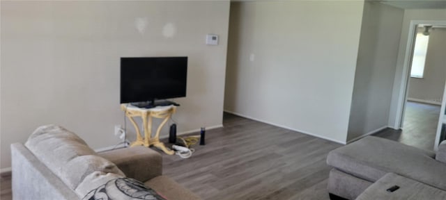 living room featuring dark hardwood / wood-style floors